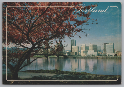 #ad Postcard 4x6: Portland skyline as seen across the Willamette River $7.95