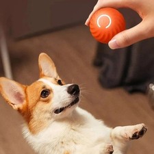 Smart Dog Toy Ball USB Electronic Interactive Pet Toy Automatic Moving Bouncing
