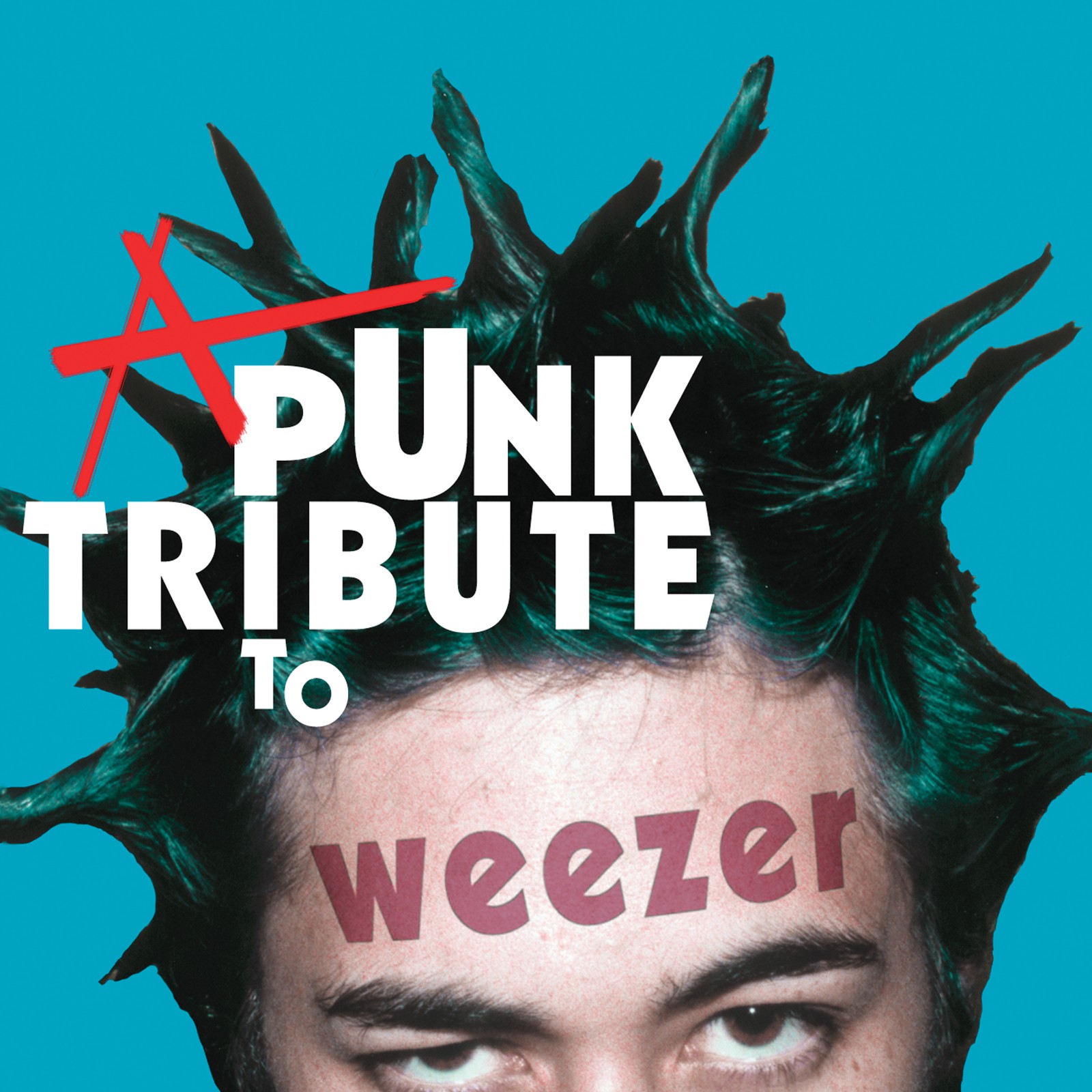Various Artists A Punk Tribute to Weezer (Vinyl LP) 12" Album