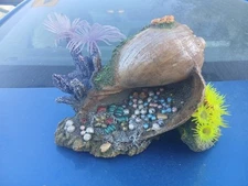 Fish tank aquarium ornament shell rock's beautiful