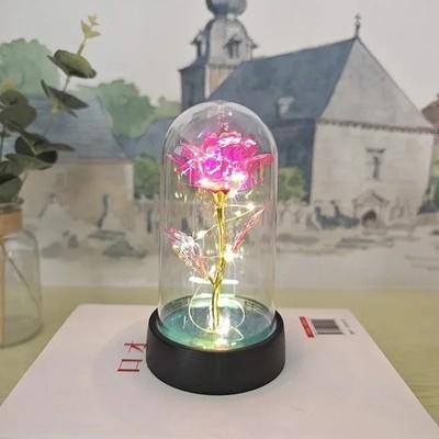 Ewige Rose im Glas LED für Frauen Freundin Geburtstag Valentinstag Blumen Licht