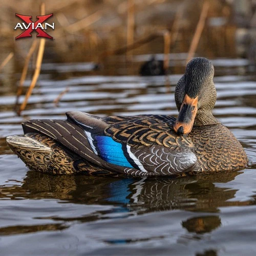 Avian-X Power Shaker Mallard Hen Decoy - Thumbnail 3