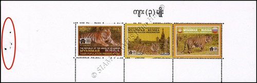 Hoja de recuerdo edición: 2º Foro Internacional sobre Conservación del Tigre (6A) (MNH) - Imagen 2 de 4