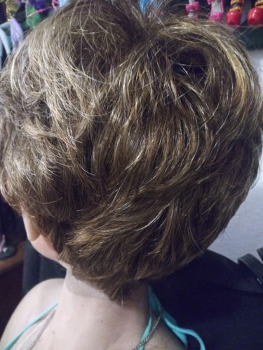 Raquel Welch Signature Collection WINNER Size AVG, Color R11S+ Glazed Mocha WIG - Picture 4 of 6