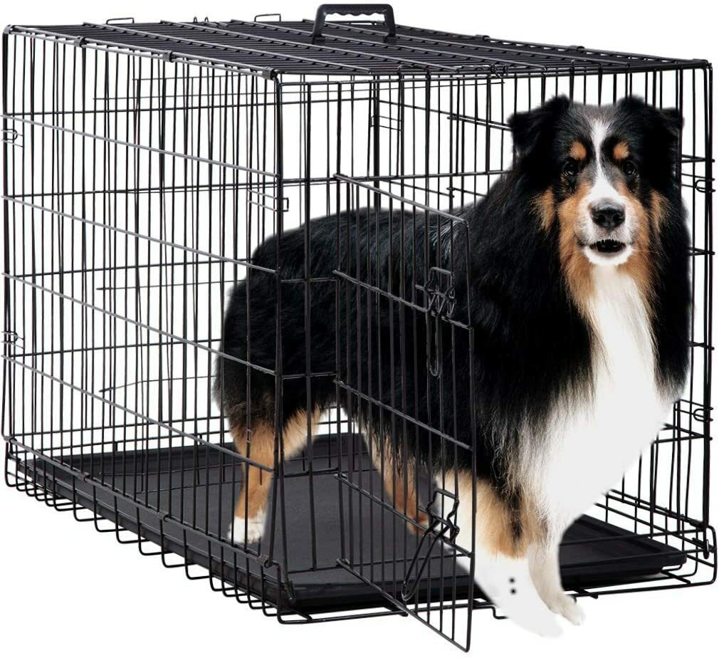 colossal dog crate