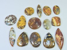 274Cts. Natural Forest Agate Mix Cabochon Loose Gemstone 14 Pcs Lot y617