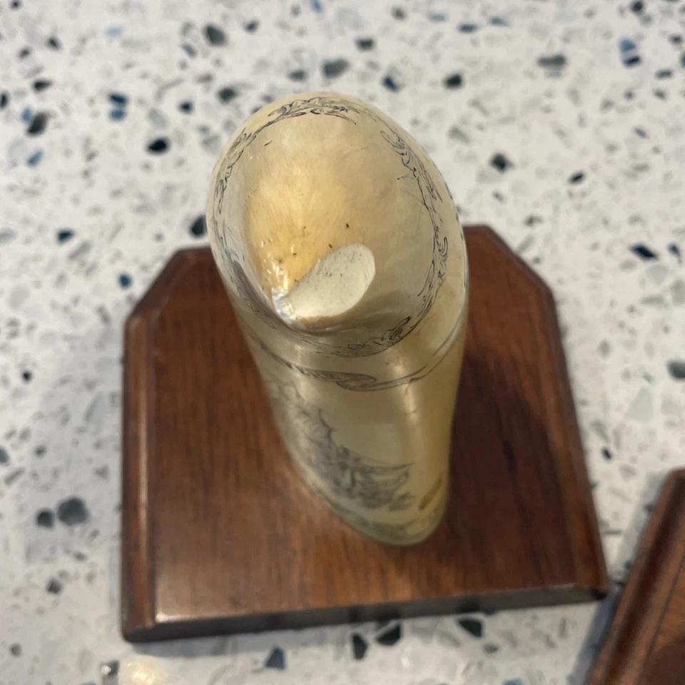 PMS Artek Scrimshaw Resina Diente de Ballena Libertad/Encarados Par Sujetalibros Foto 3 de 4