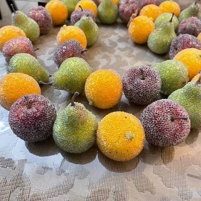 Vintage Sugared Fruit Garland Christmas Holiday Decor Frosted Apples Pear Orange
