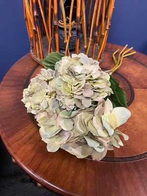 NEW Pottery Barn Faux Hydrangea Bundle 4 Stems Dusty Green NWT