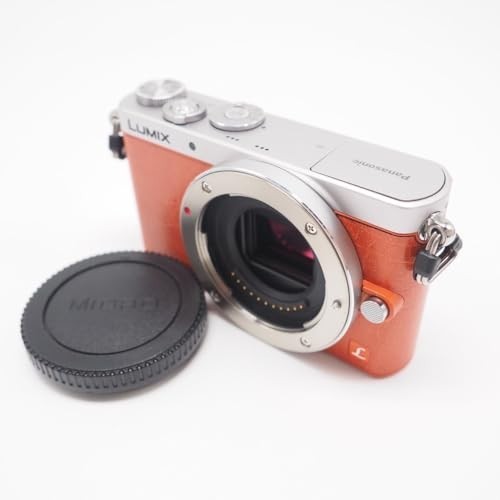 Panasonic Digital Single Lens Camera Lens Kit Standard Zoom Orange