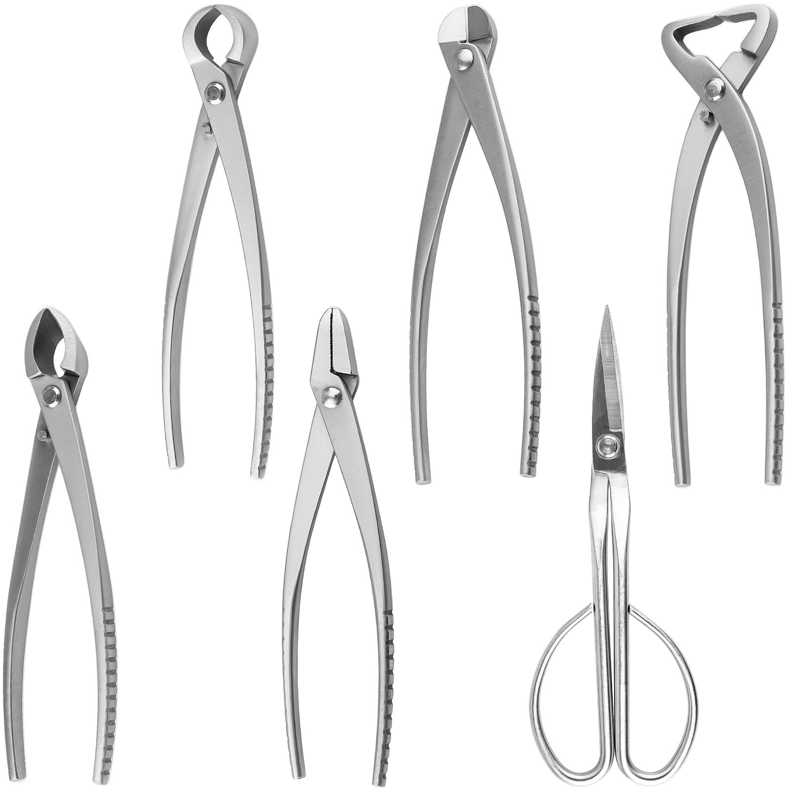 6 PCS Bonsai Pruning Tool Set, 6 Different Roles of Scissors to Meet All the ...