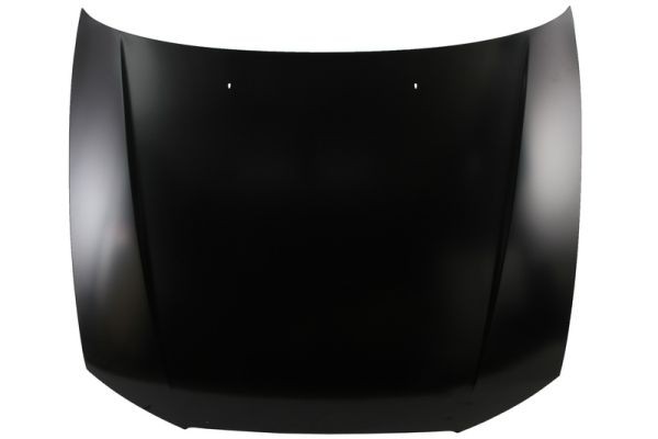 BLIC 6803-00-3155280P Bonnet for HYUNDAI