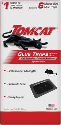 Tomcat Super Hold Glue Traps Mouse Size, 3-Pack (12 Glue Traps)