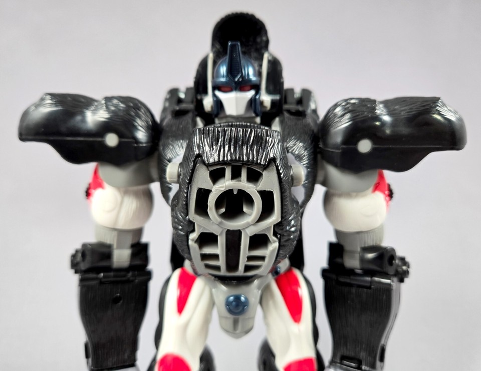 Transformers OPTIMUS PRIMAL COMPLETE Hasbro Beast Wars 2021 Reissue