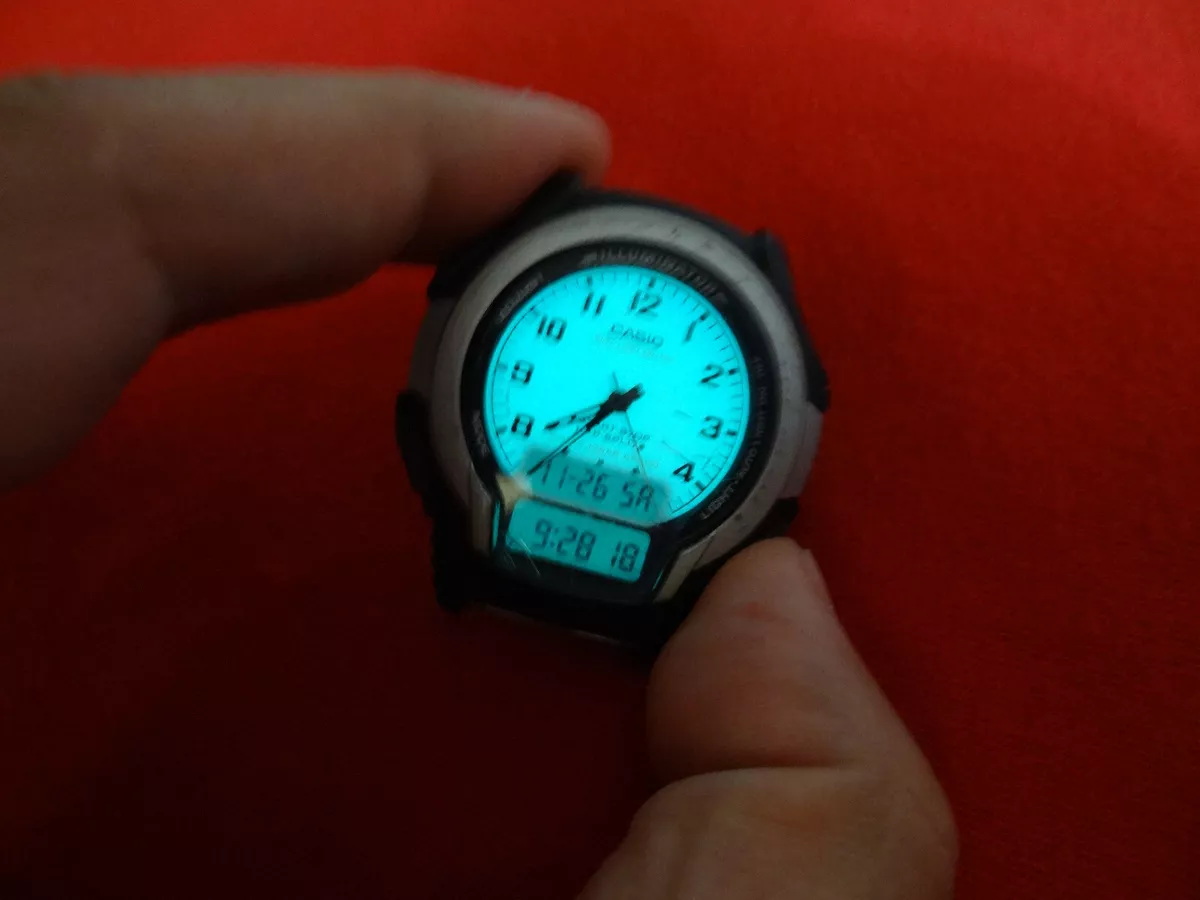 Casio hot sale ws 300