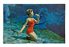 Mermaid Weeki Wachee Springs FL Eating Banana Vtg Florida Postcard