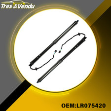 2x Puntoni Gas Portellone Stivale Elettrico Land Rover Range Rover Evoque Adatto UK