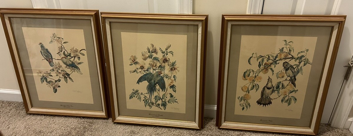 セシル・ゴールディング（Cecil Golding）プリントアート 2点セット CECIL GOLDING BIRD PRINTS NEW YORK GRAPHIC SOCIETY, 1940