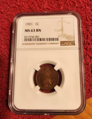 1901 Indian cent NGC MS 63 BN