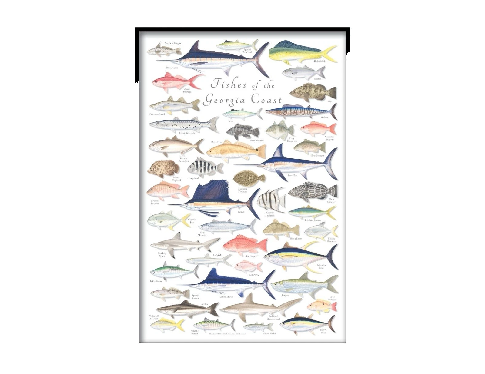 Fishing Home Décor Posters & Prints