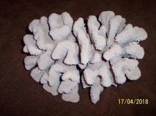 Natural Brown Stem White Reef Coral Shell Tank Ocean Decor Specimen