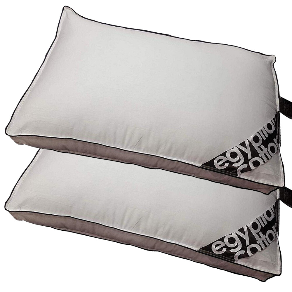 Standard Box Walled Pillow 100 Egyptian Cotton Bounce Back Square Edge