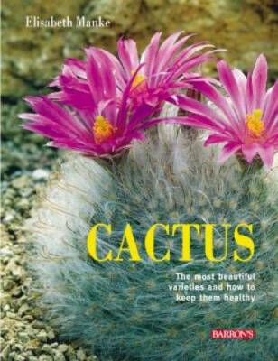 Cactus: The most beautiful varieties and how to keep them healthy - GOOD