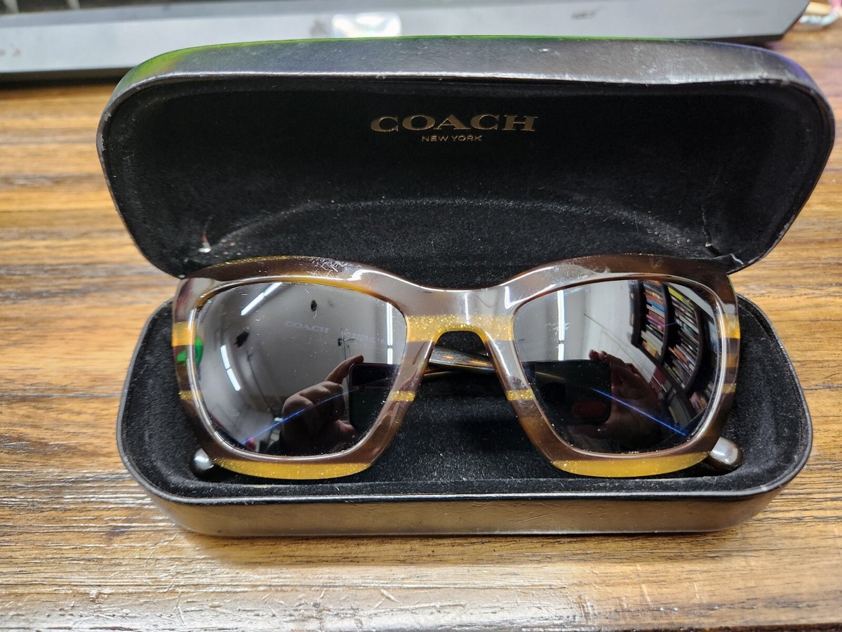 Coach HC 8203 L1630 Honey Glitter Varsity Stripe Sunglasses