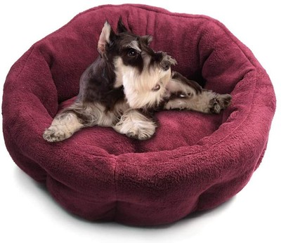 machine washable pet bed