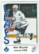 1993-94 St. John's Maple Leafs (AHL) Andy Sullivan