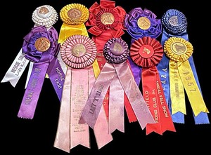 OLD 1950s Lot 10 horse show ribbons rosettes crafts Lazy K Ranch Outlaw Riding