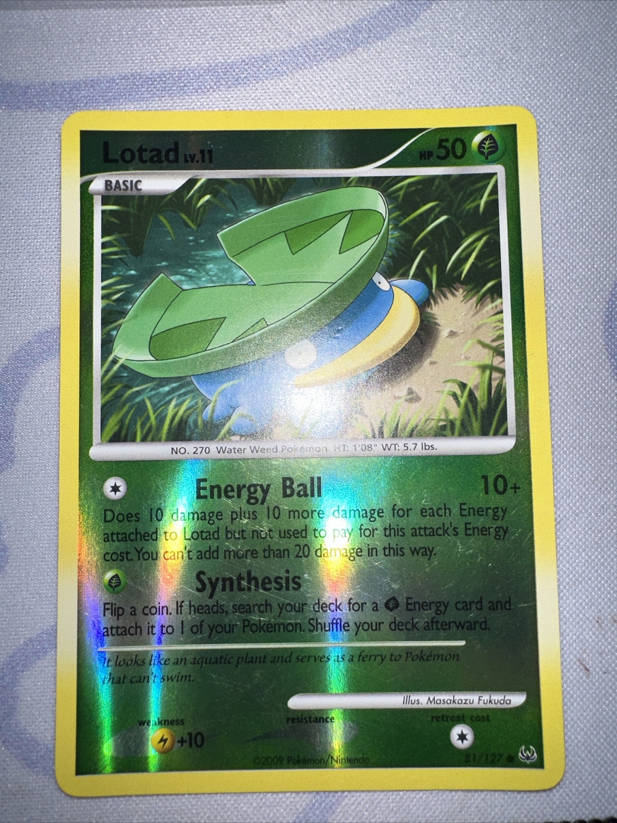 Pokemon - Lotad - 81/127 - Common - Reverse Holo - Platinum - NM/LP