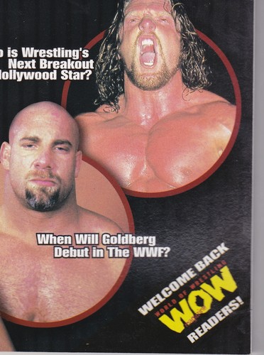 Pro Wrestling Illustrated June 2002 Stacy Keibler Goldberg Triple H nWo WWF - Picture 6 of 10