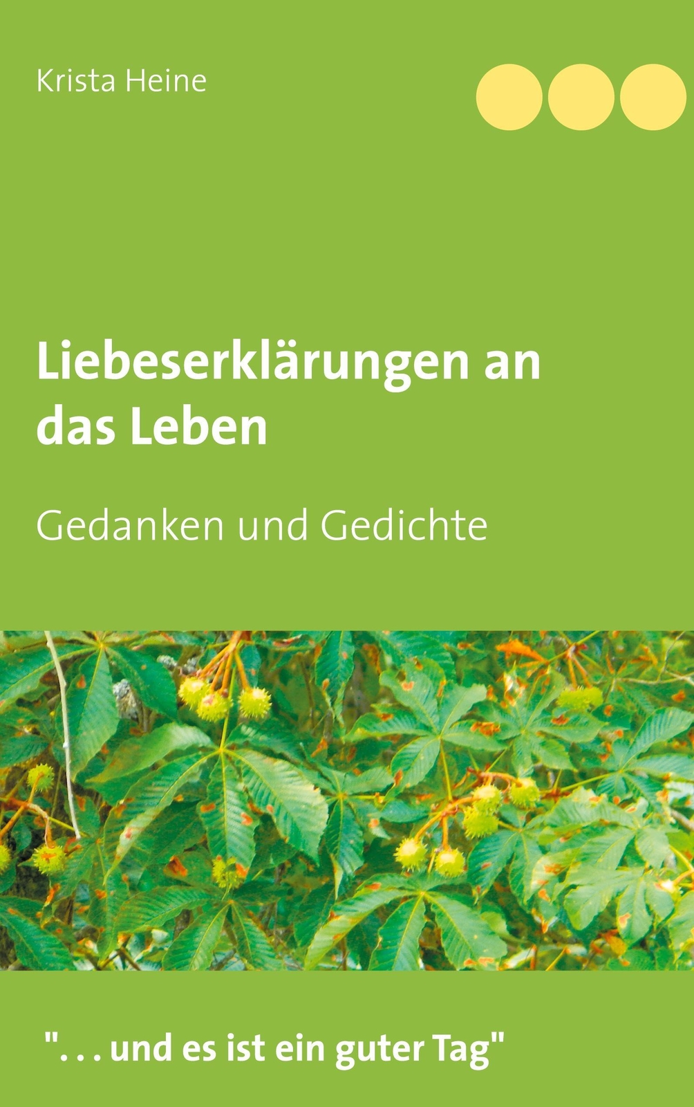 Thumbnail - Krista Heine | Liebeserklärungen An Das Leben | Taschenbuch | Deutsch