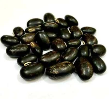Black Kauch Seeds, Pruriens, Kaunch Seeds, Cowhage,Velvet Bean,Kapikacchu 50grm