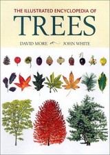 THE ILLUSTRATED ENCYCLOPEDIA OF TREES By John White & David More - Hardcover VG+