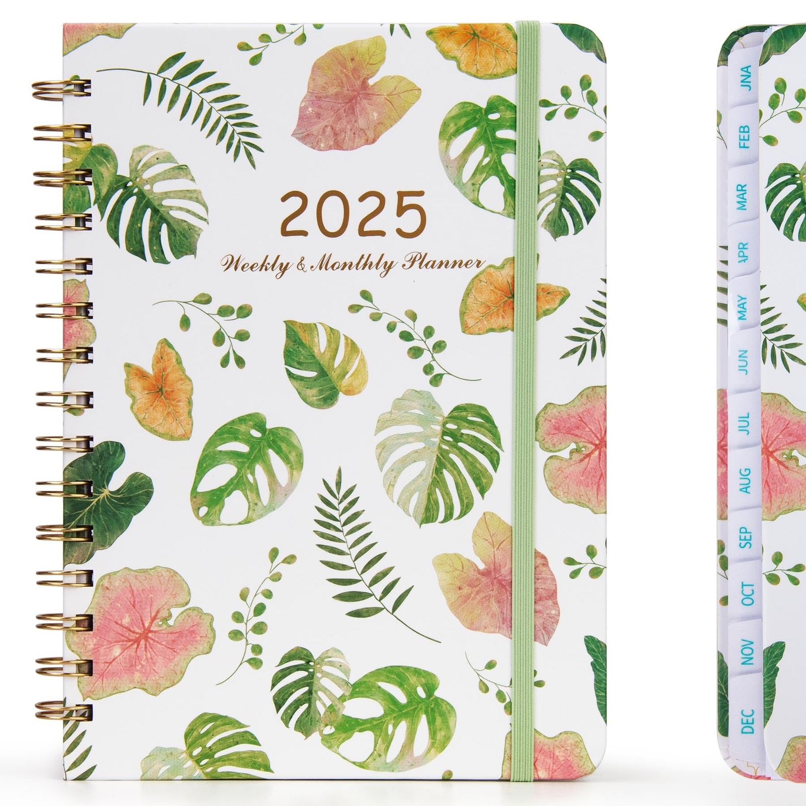 Monthly Planner 2025, Weekly & Monthly Planner 2025, Calendar Planner 6.1