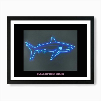 Gerahmtes Wandbild Poster Neon Pink Schwarzspitze Riffhai Poster Leinwanddruck Bild