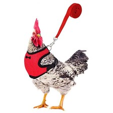Chicken Harness AndLeash Adjustable Duck Harness WithLeash And Matching Belt