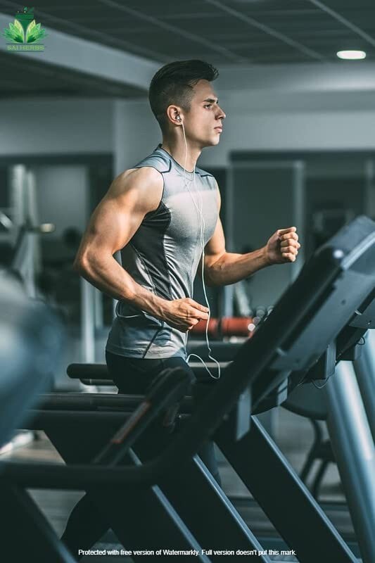 SAI HERBS Ficus Carcia Leaves - Pure & Natural