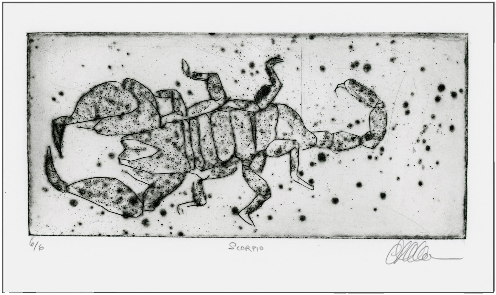 Expressionism Insects Art Prints