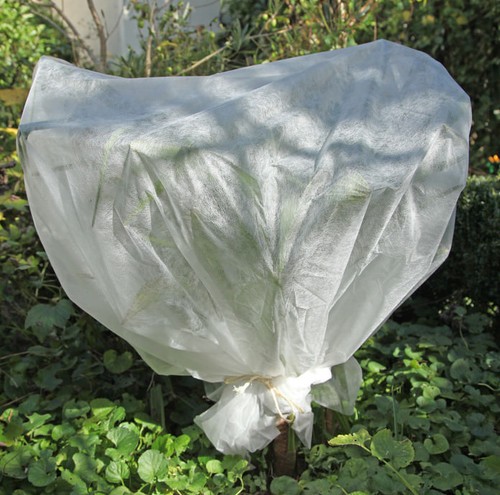 Wintervlies Vlies Winterflis Frostschutzvlies Frostschutzflies 60g 3,2m x 20m - Bild 8 von 9