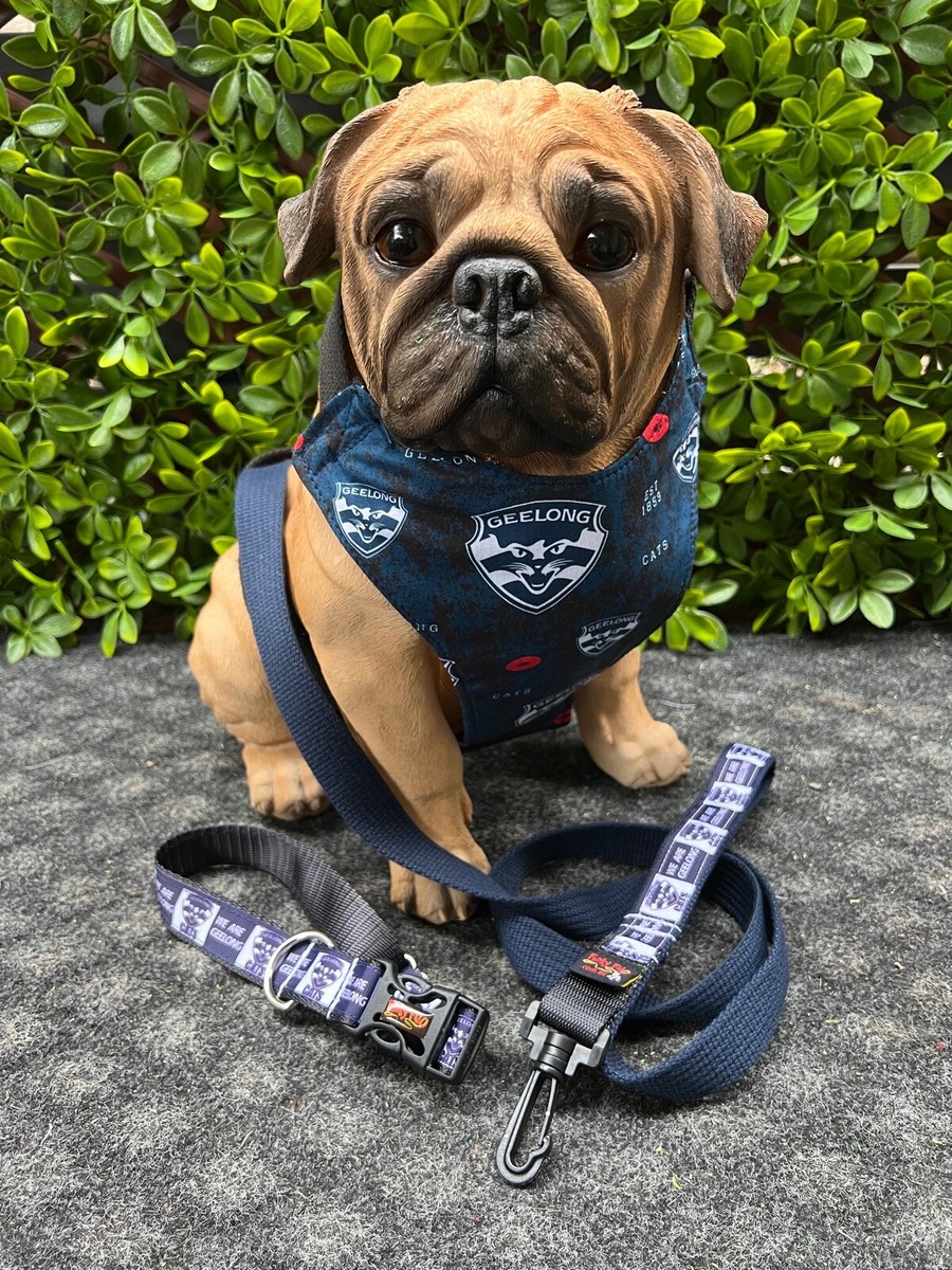 Leash Collar Funky Dog Collars Palm Springs Dog Collar Wolf I Dog