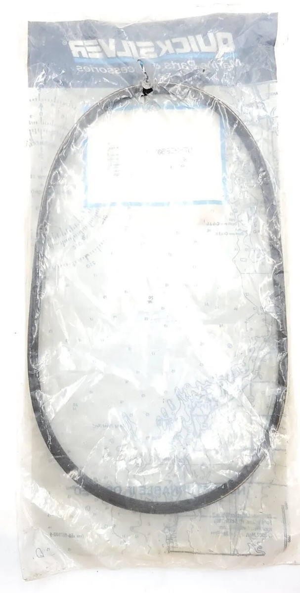 Quicksilver Mercury 57-828507 11 Alternator Belt OEM/Genuine | eBay