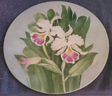 Hot Plate Orchid  12 Inch Diameter