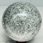 Natural Insectconch fossil crystal Ball Quartz Crystal Sphere Reiki Healing2400G — photo 9