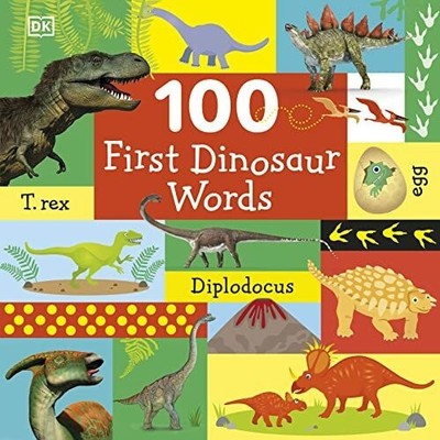 100 First Dinosaur Words Buch DK Children
