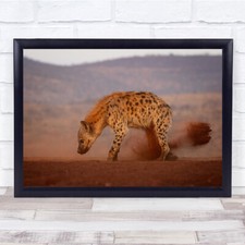 Stampa artistica da parete Hyena Sudafrica lunga esposizione angolo basso marrone polvere