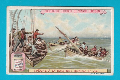 LIEBIG - SEHR ALTE & SELTENE KARTE - S545 / F543 - WALFANG - 1898