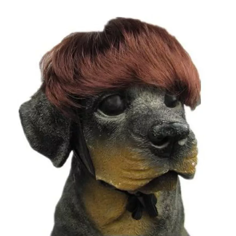 Brown dog wig cheap